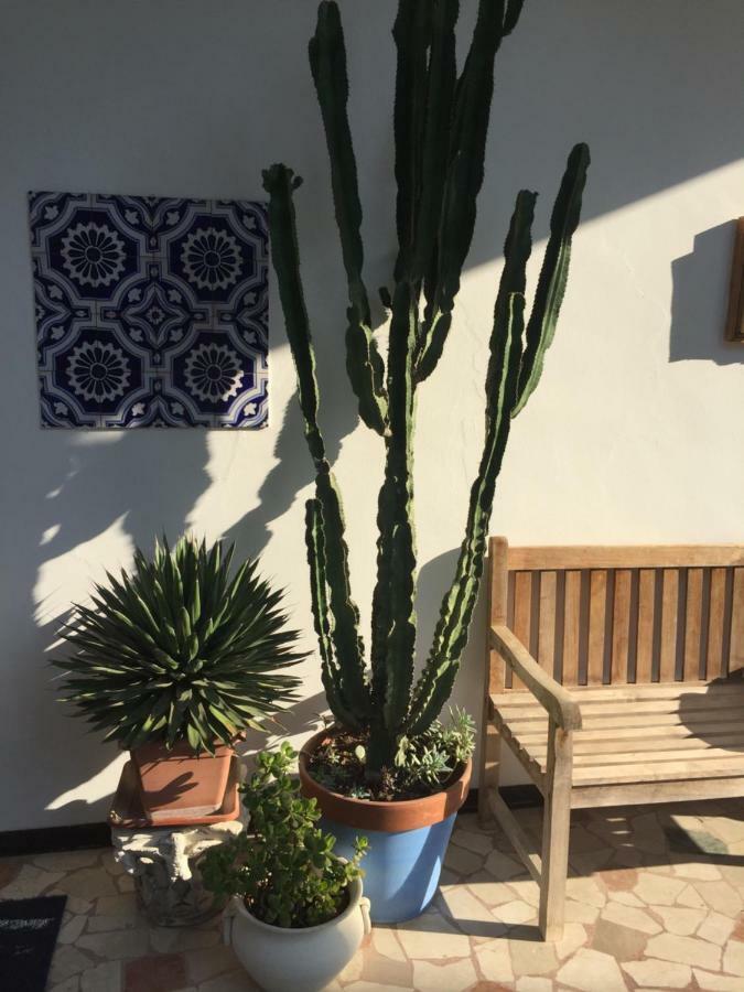 B&B La Villa Mediterranea Passirano Buitenkant foto